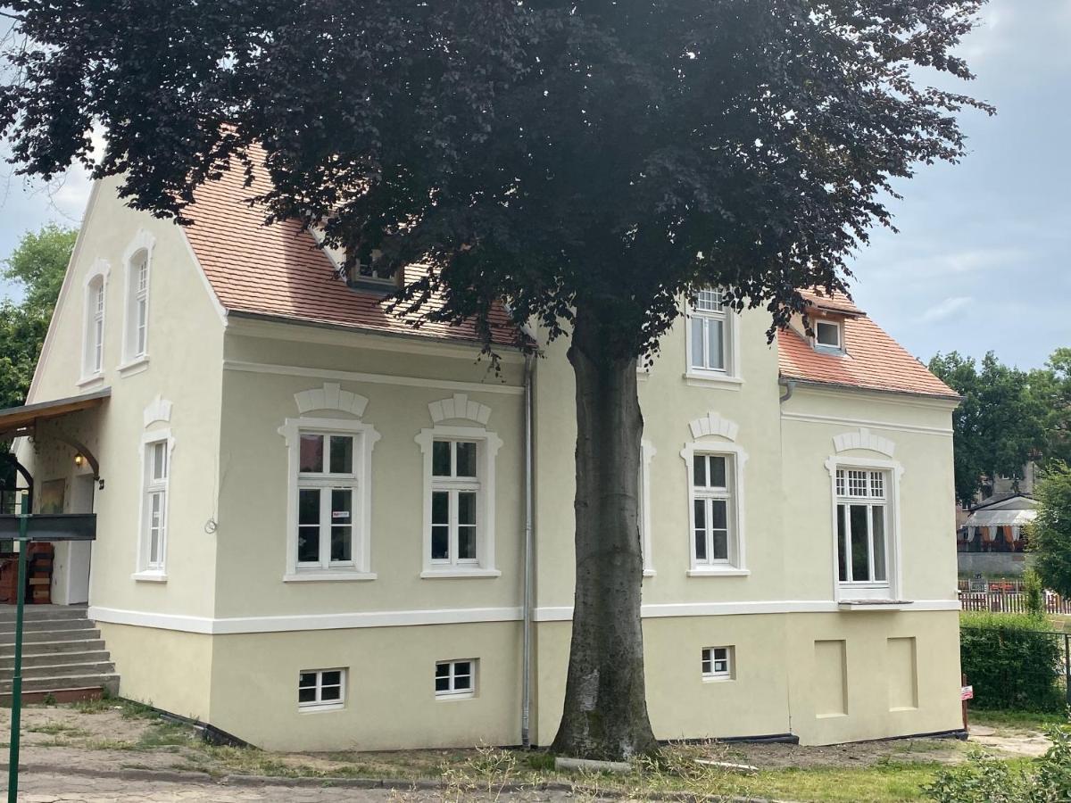 Willa W Centrum Zielona Gora  Bagian luar foto